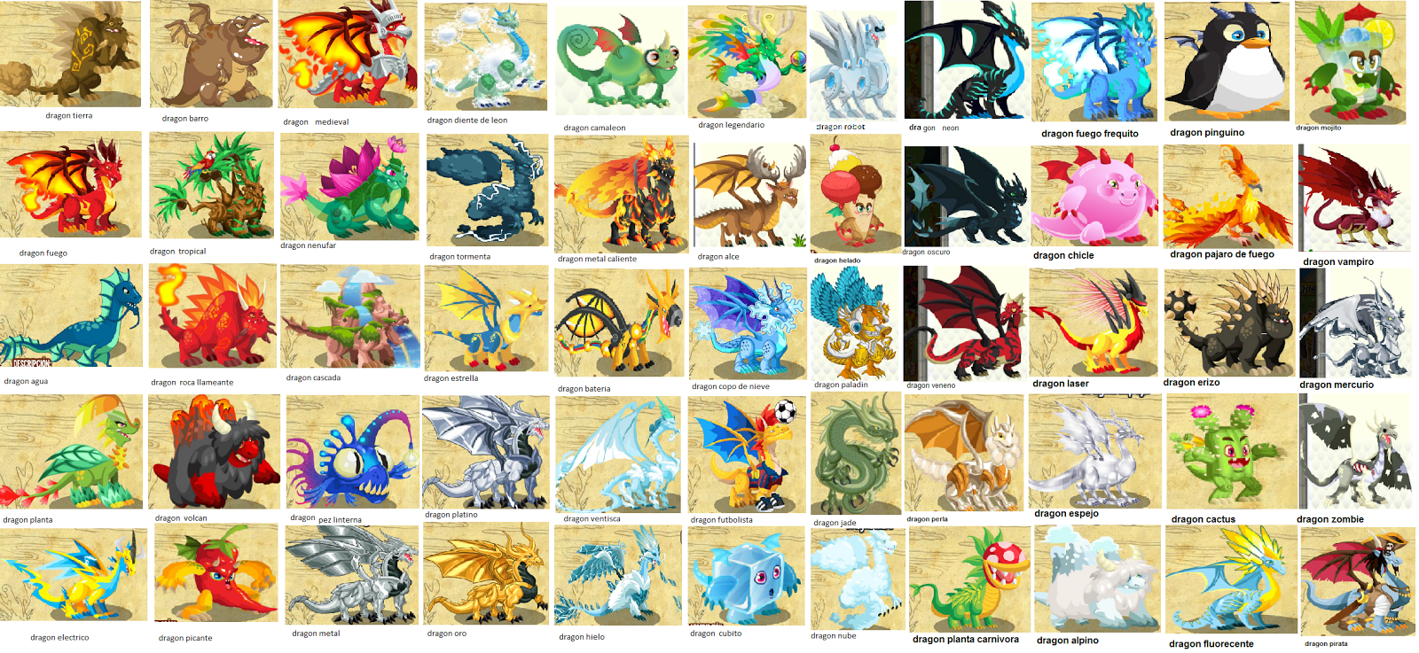 dragon coty dragon coty